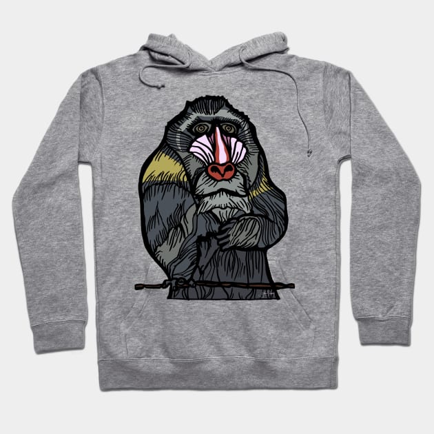 Painted Mandrill (transparent) Hoodie by JSnipe